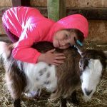 Family Friendly Stays at West Woolley Farm